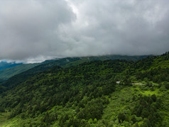 祖国青山森林树林云雾航拍摄影图