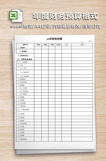 公司年度财务预算表图片