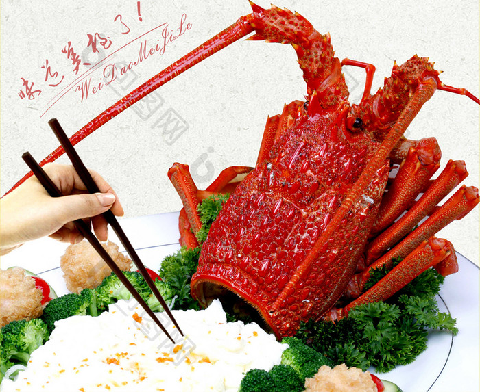 简约澳洲大龙虾美食海报