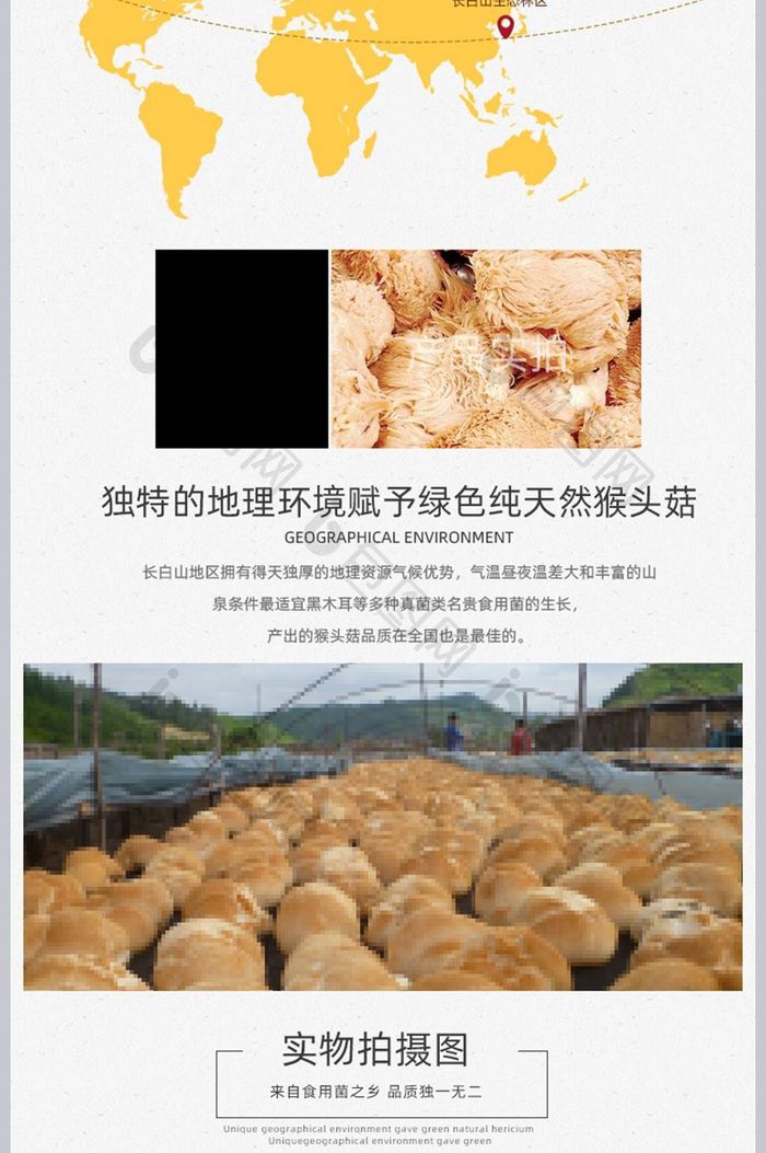 东北特产猴头菇详情页东北特产