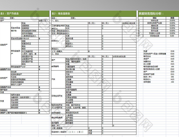 专业的家庭财务分析表