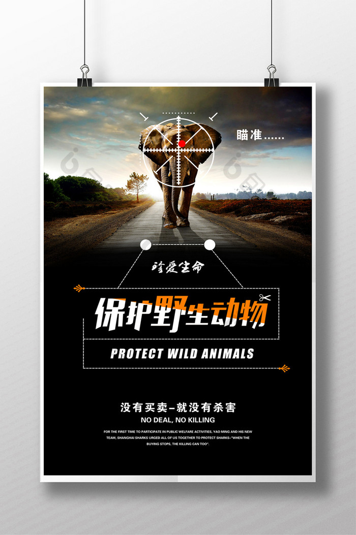 动物园展板保护野生动物动物图片