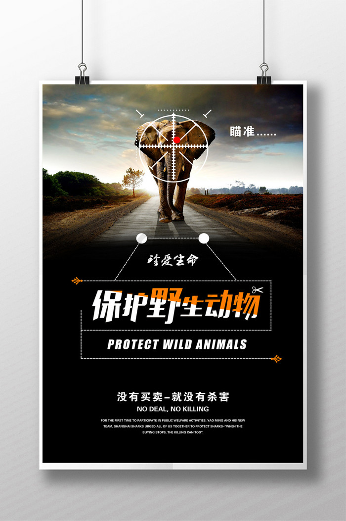 保护野生动物保护动物爱护动物动物图片