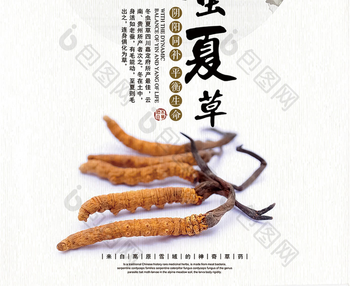 简约中国风冬虫夏草宣传海报