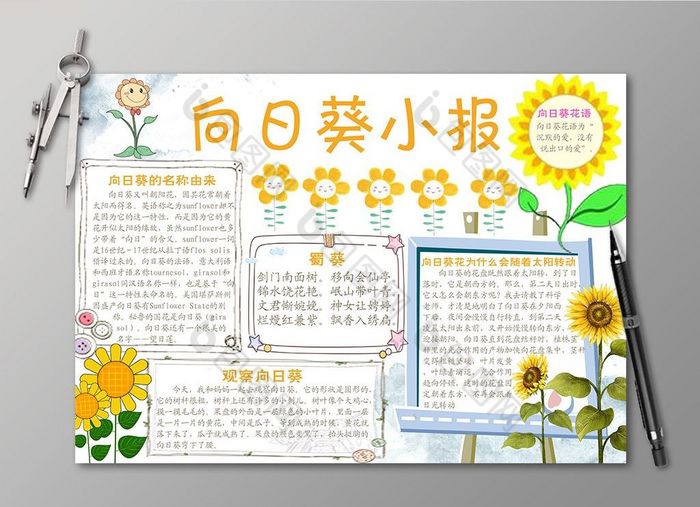 向日葵小报