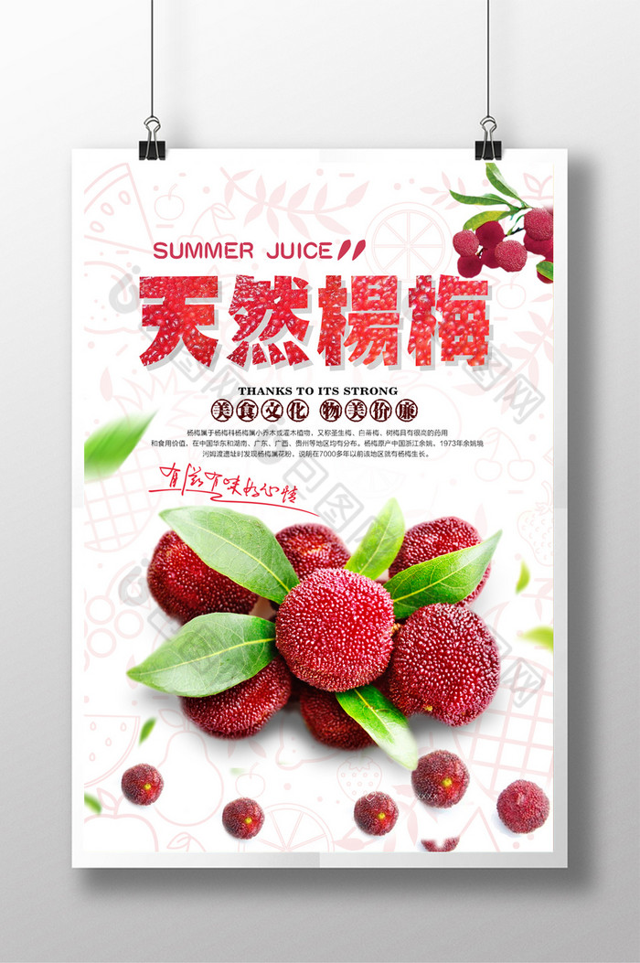 水果海报水果杨梅展板图片
