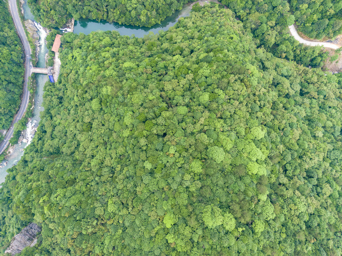 俯拍山谷溪流公路自然风景