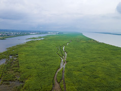 湖南岳阳芦苇荡航拍摄影图