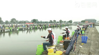 中国风鱼图片_中国风鱼模板下载_中国风鱼设