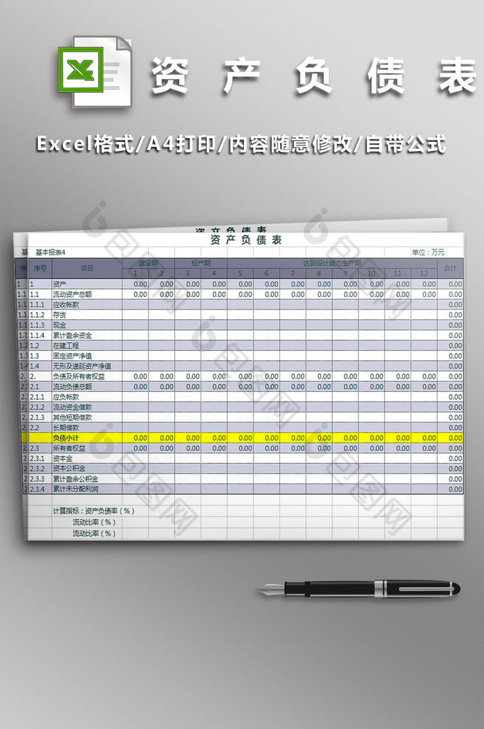 个人公司资产负债表图片图片