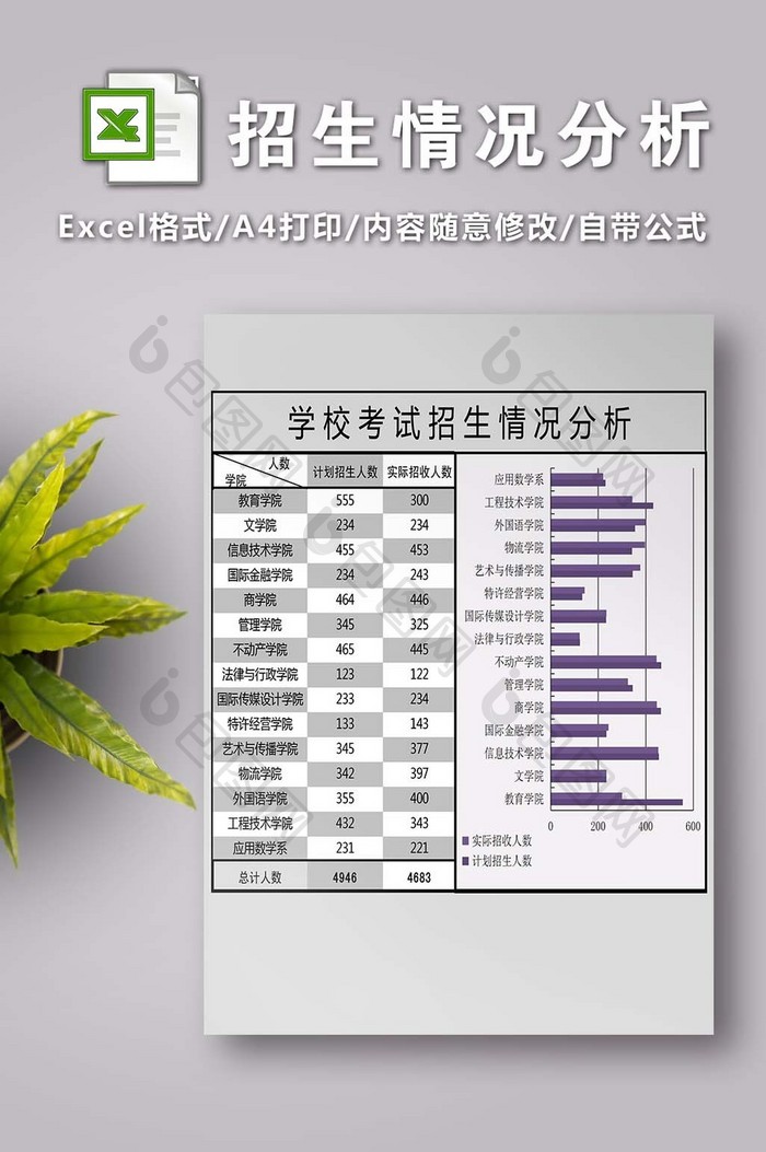 学校年度招生情况分析表