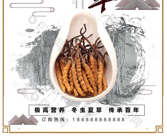 中国风中药文化冬虫夏草促销海报设计