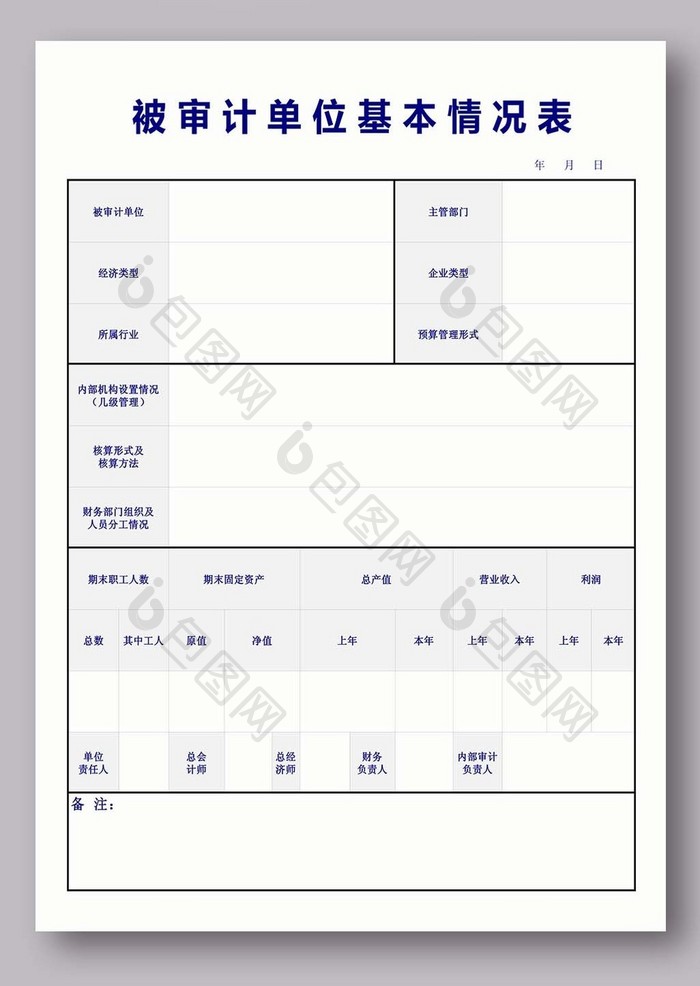 被审计单位基本情况表excel模板