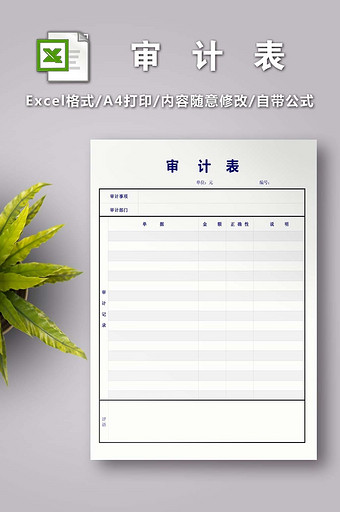 审计表excel模版图片