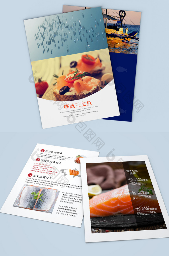 三文鱼产品宣传册/宣传单