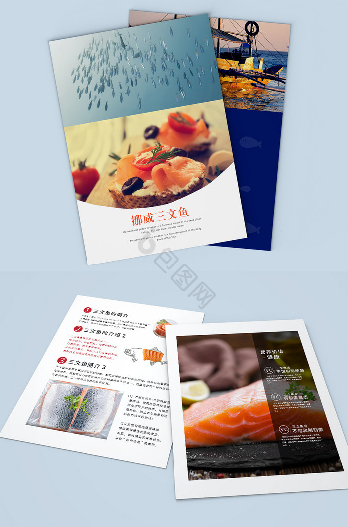 三文鱼产品册单图片