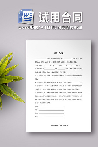 试用合同 word文档图片