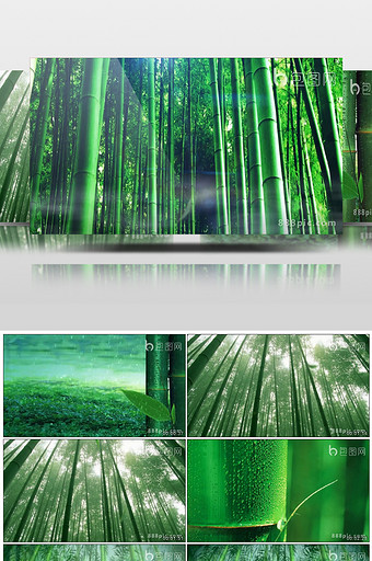 翠绿竹林竹叶生长舞台背景视频图片