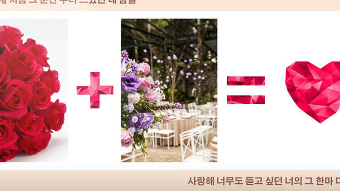 韩式时尚动感婚礼开场AE模板