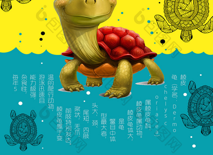 卡通海龟海洋馆海报
