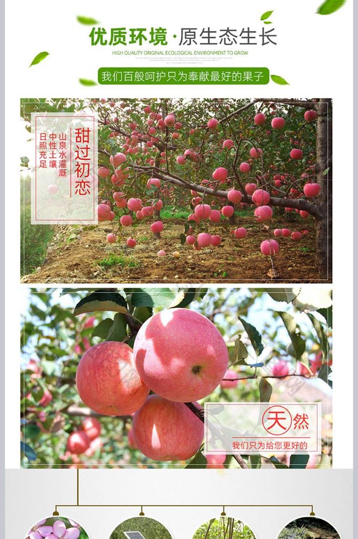 绿色苹果红富士详情页农家自产