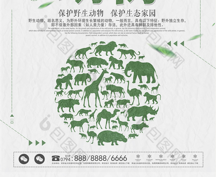 绿色公益保护野生动物海报