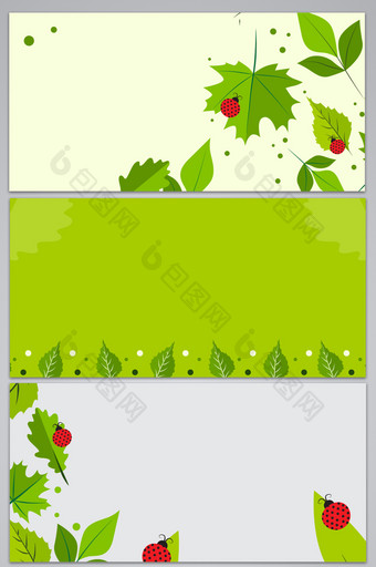 绿色植物叶子背景图片