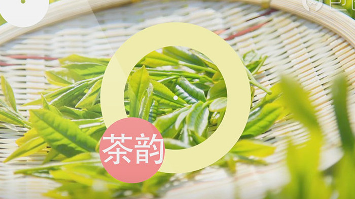 电视台茶叶宣传茶文化宣传栏目包装视频