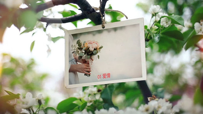 浪漫迷人景色婚礼婚庆图片展示AE模版