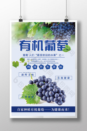 新鲜葡萄水果促销海报 创意海报图片