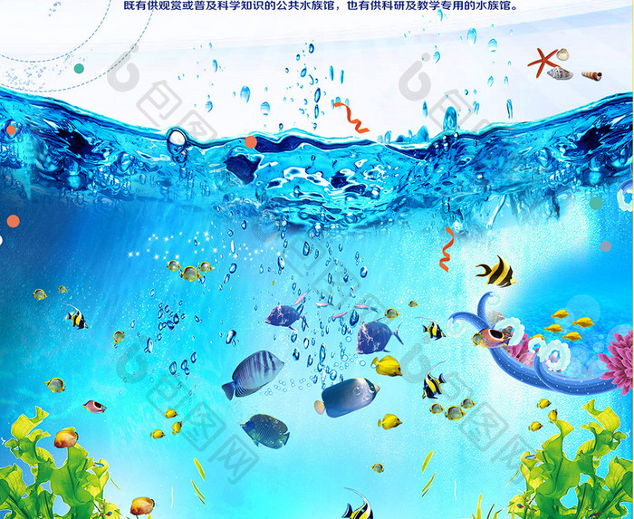 水族馆海洋世界海报