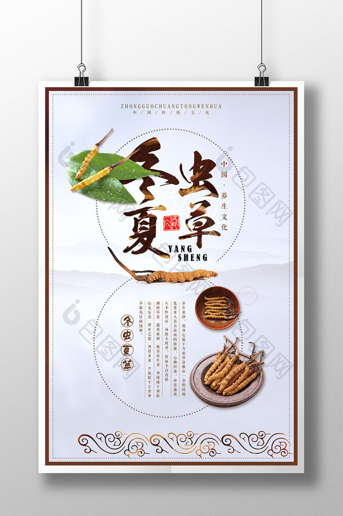 中国风创意冬虫夏草宣传海报设计