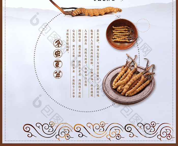 中国风创意冬虫夏草宣传海报设计