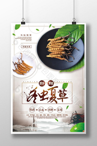 中国风冬虫夏草促销海报设计图片