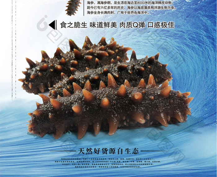 包图网提供精美好看的海参图片素材免费下载,本次作品主题是广告设计