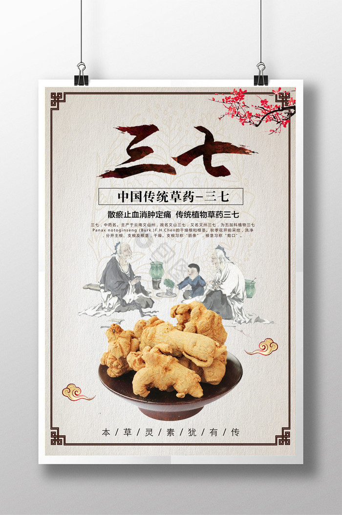三七药材图片-三七药材图片模板