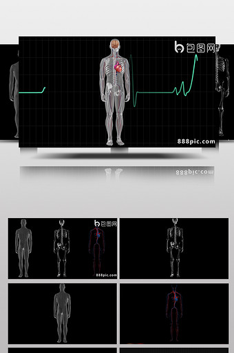 7个带通道的人类医学主题视频素材图片