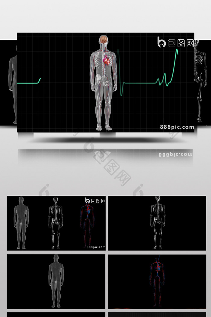 7个带通道的人类医学主题视频素材