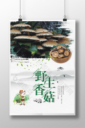 山珍香菇海报设计图片