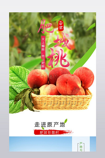 淘宝肥城桃子油桃水蜜桃水果食品详情页图片