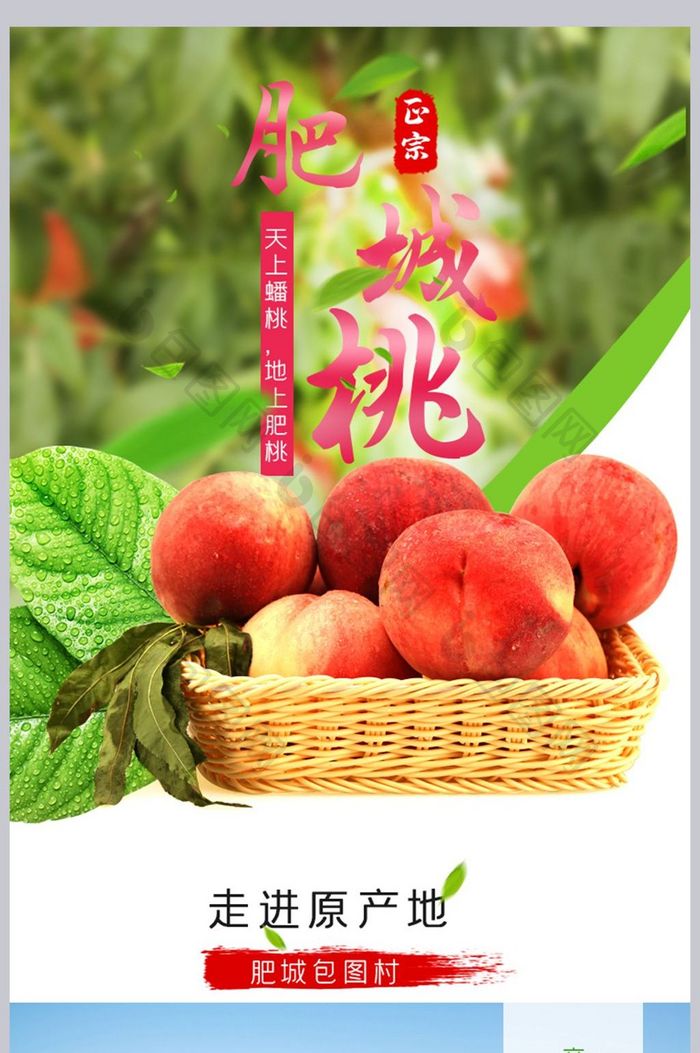 淘宝肥城桃子油桃水蜜桃水果食品详情页