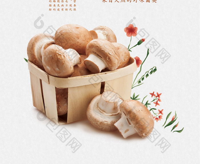 极简风新鲜蘑菇宣传海报