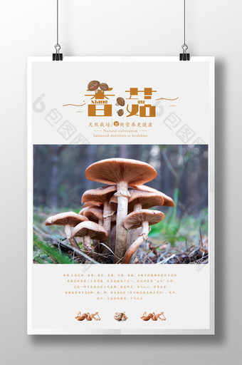 简雅风天然香菇宣传展示海报图片
