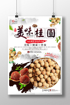 美味营养桂圆农家土特产宣传海报设计