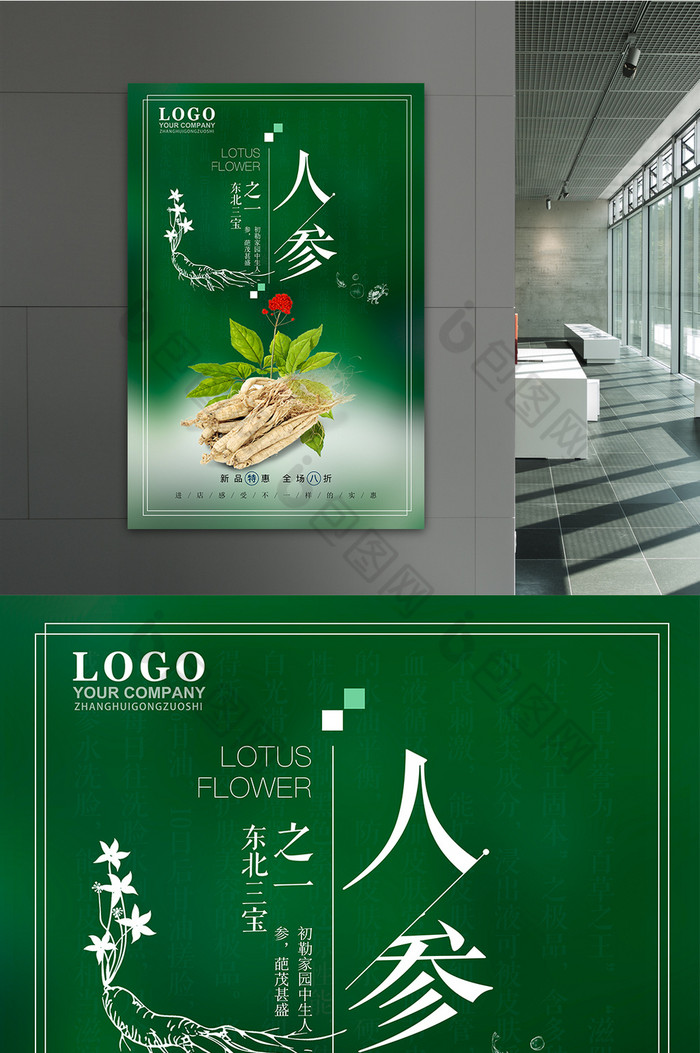 名贵中药人参图片