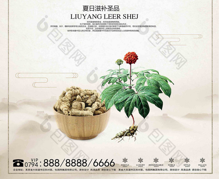 中国风三七中药文化设计宣传海报