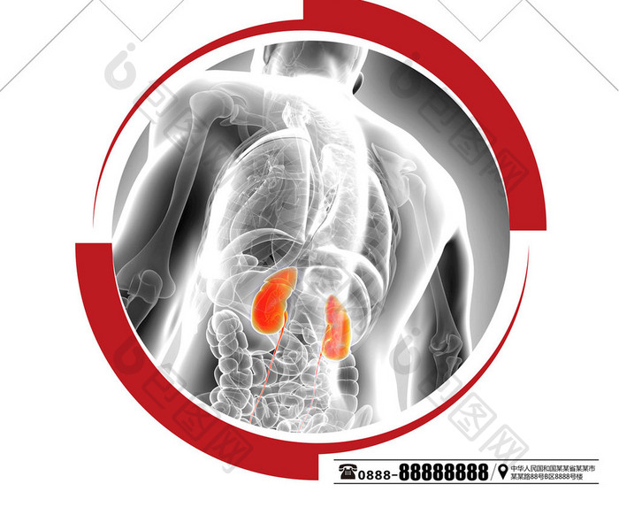 关注肾健康公益海报