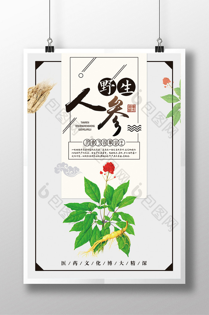 中医药材野生人参创意宣传海报设计