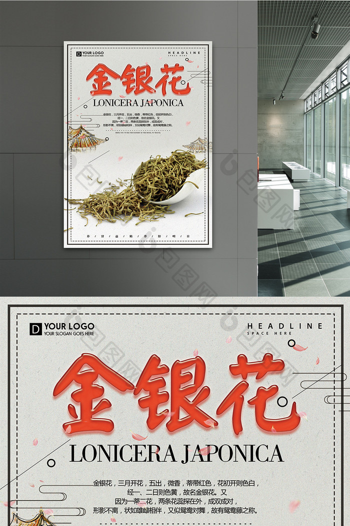 简约风格金银花医疗海报