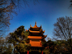 湖南省植物园摄影图